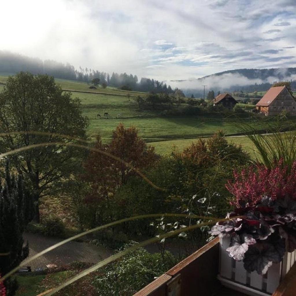 Schwarzwild - Ferienwohnung Und Ferienzimmer Baiersbronn Exterior photo