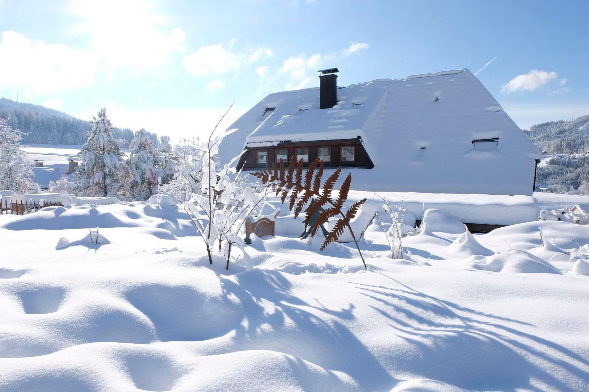 Schwarzwild - Ferienwohnung Und Ferienzimmer Baiersbronn Exterior photo