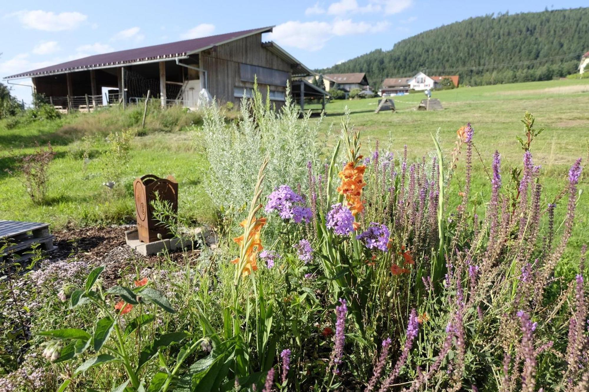 Schwarzwild - Ferienwohnung Und Ferienzimmer Baiersbronn Exterior photo
