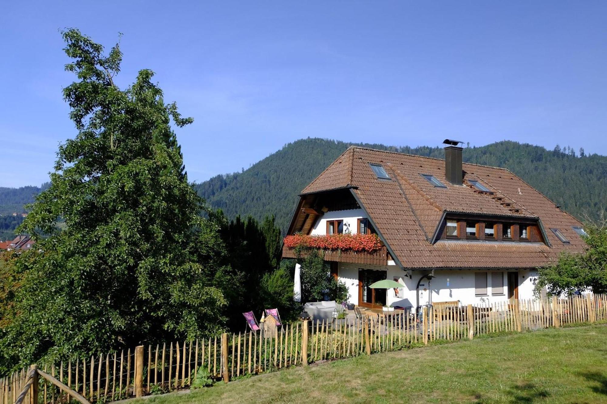 Schwarzwild - Ferienwohnung Und Ferienzimmer Baiersbronn Exterior photo